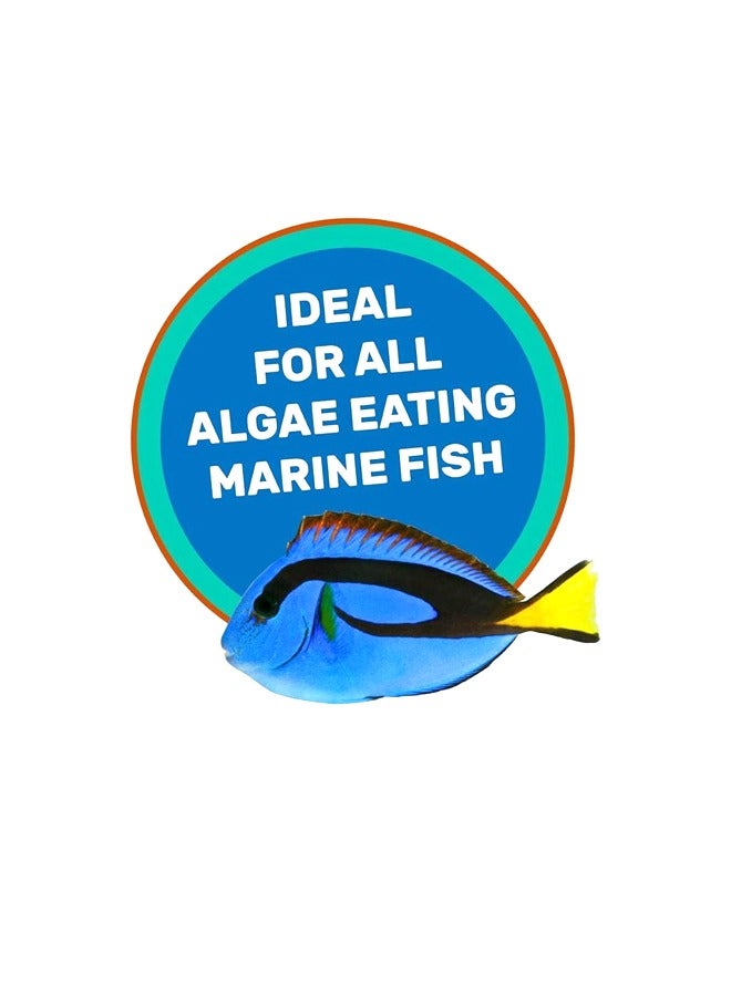 Hikari Saki-Hikari Marine Herbivore Sinking Fish Pellets M - 90GM - Image 3